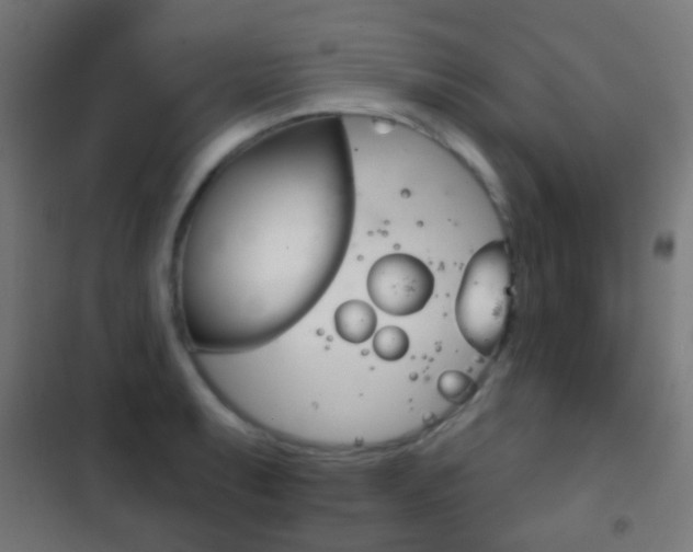 X0000102241087200807250832