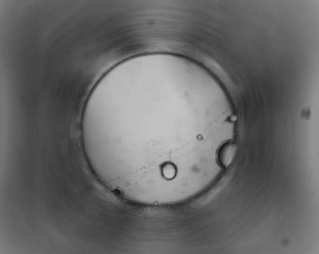 X0000102241089200807250832