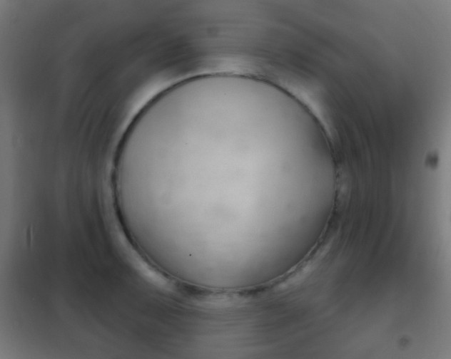 X0000102241091200807250832