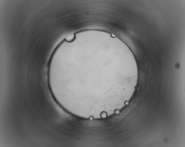 X0000102241092200807250832