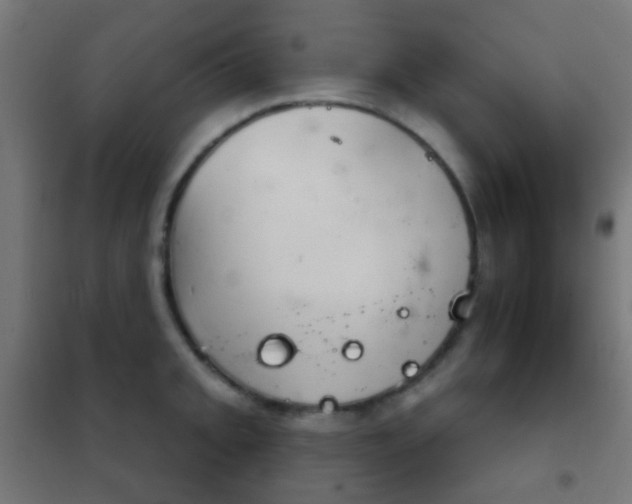 X0000102241093200807250832