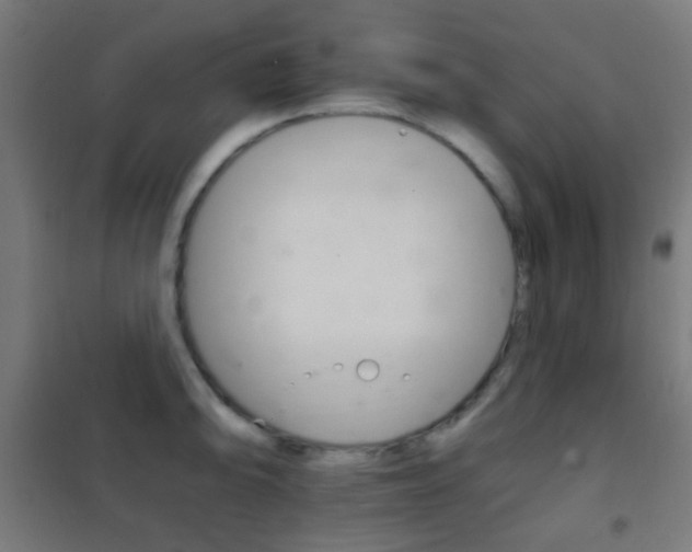 X0000102241094200807250832