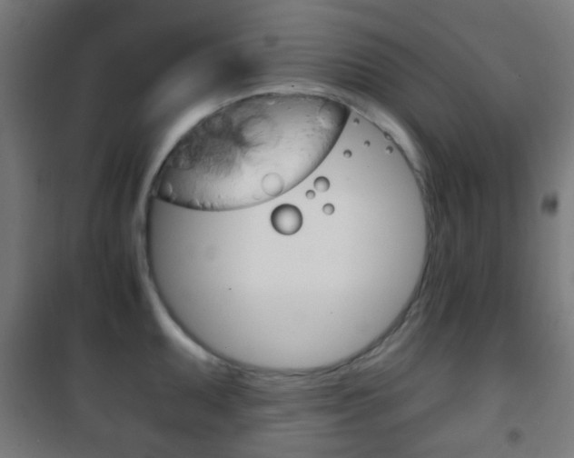 X0000102241095200807250832