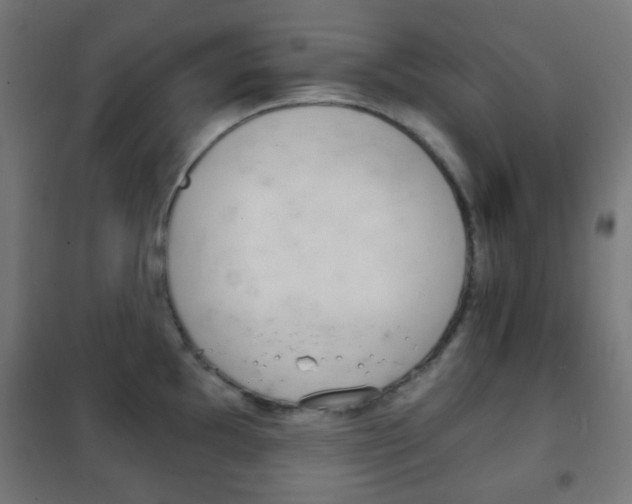X0000102241097200807250832