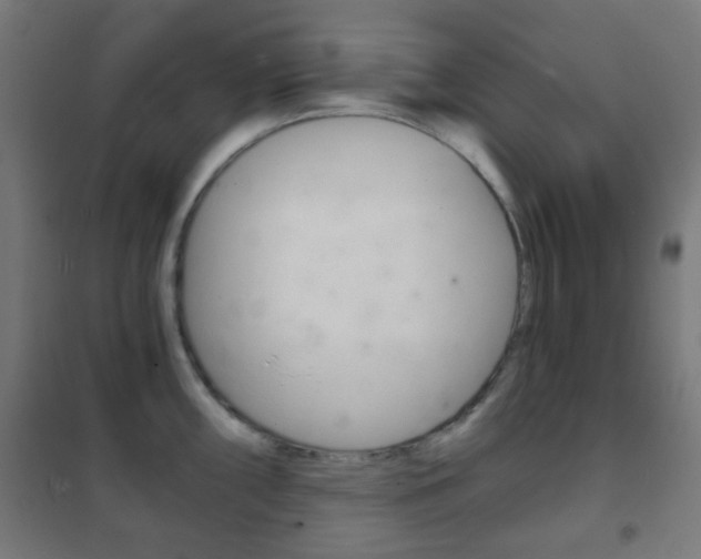 X0000102241098200807250832