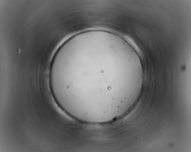 X0000102241100200807250832