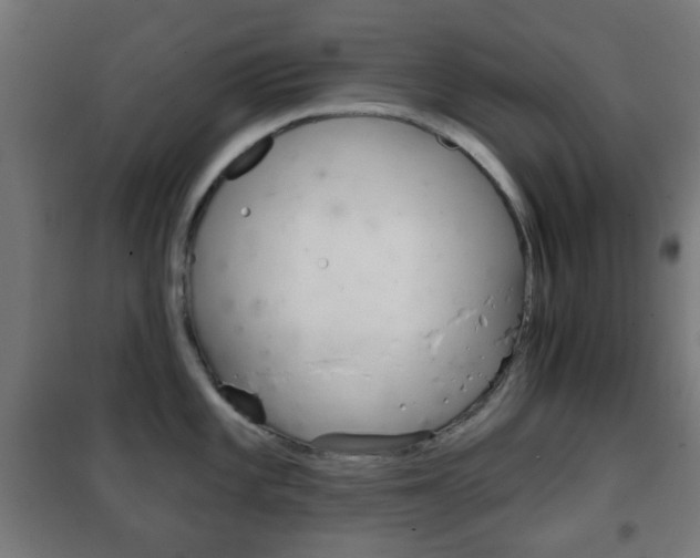 X0000102241101200807250832