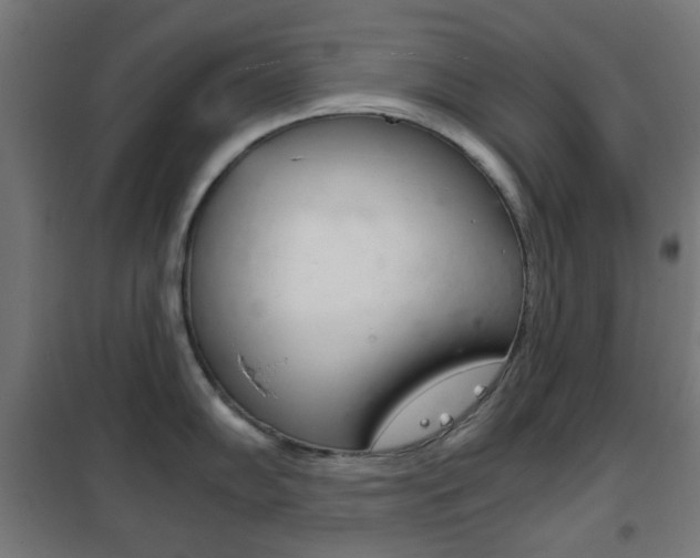 X0000102241102200807250832