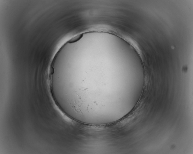 X0000102241103200807250832