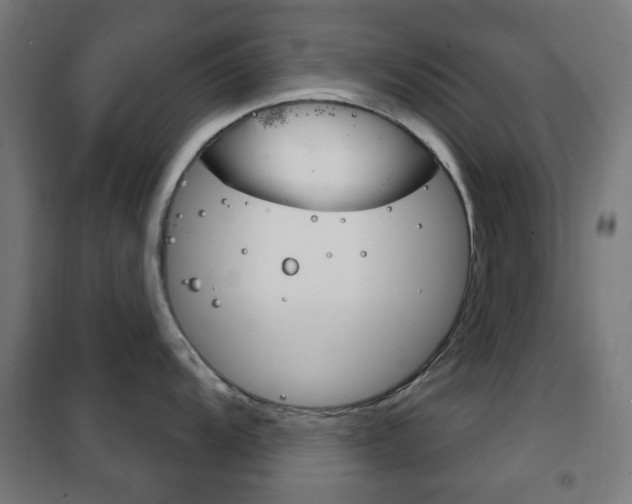 X0000102241104200807250832