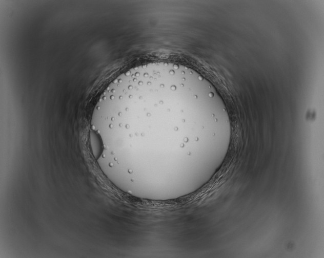 X0000102241105200807250831