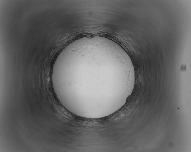 X0000102241106200807250831