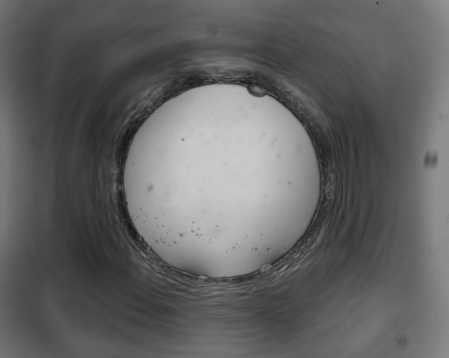 X0000102241108200807250831