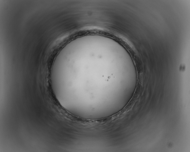 X0000102241111200807250831