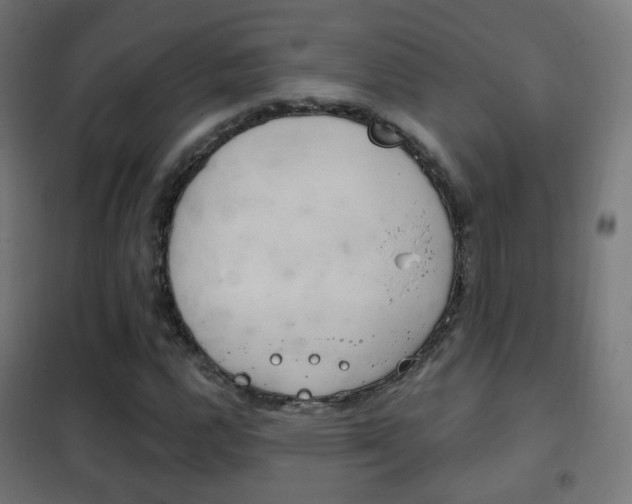 X0000102241112200807250831