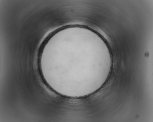 X0000102241116200807250831