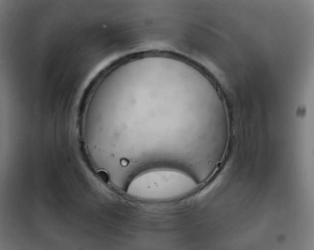 X0000102241118200807250831