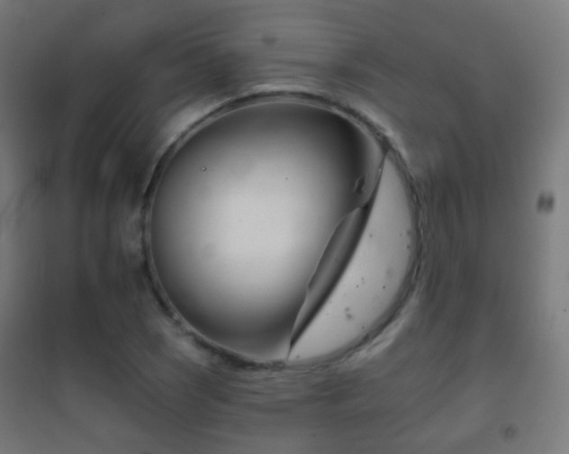 X0000102241121200807250831