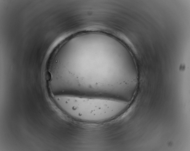X0000102241122200807250831