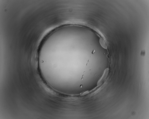 X0000102241123200807250831