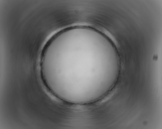 X0000102241124200807250831