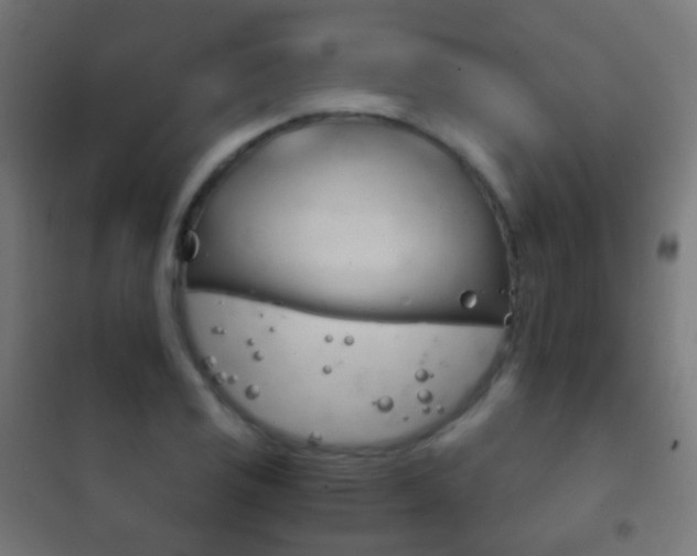 X0000102241125200807250831