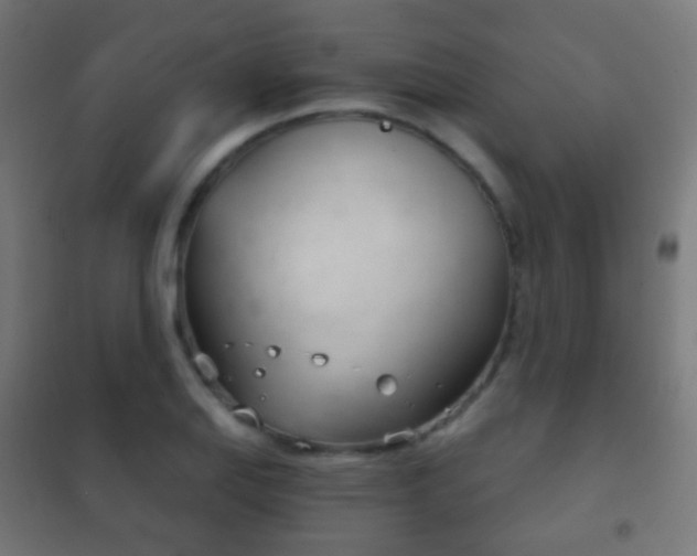 X0000102241127200807250831