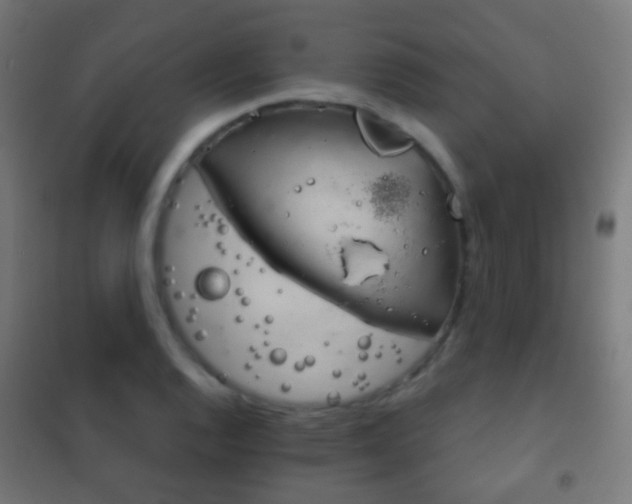 X0000102241128200807250831