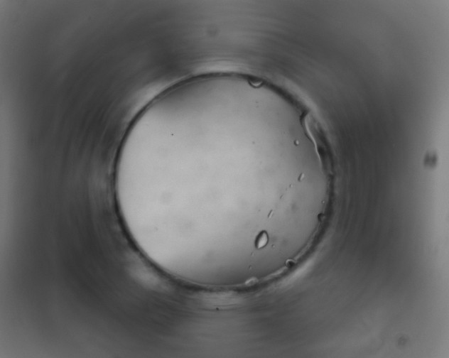 X0000102241129200807250831