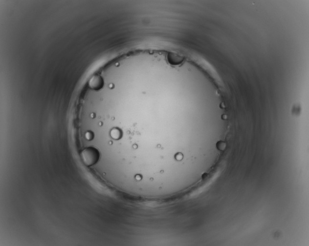 X0000102241130200807250831