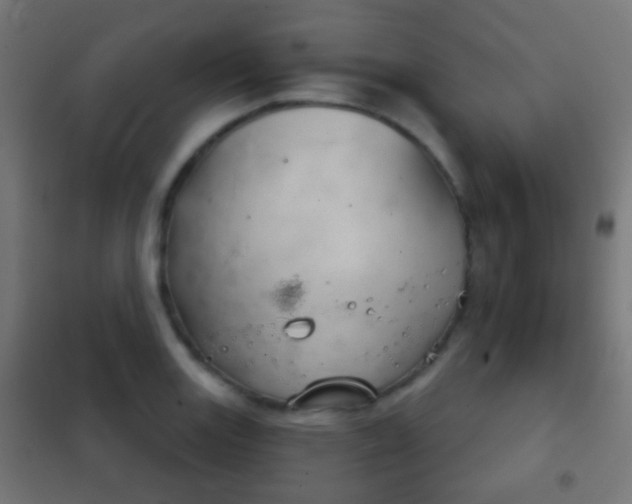 X0000102241131200807250831