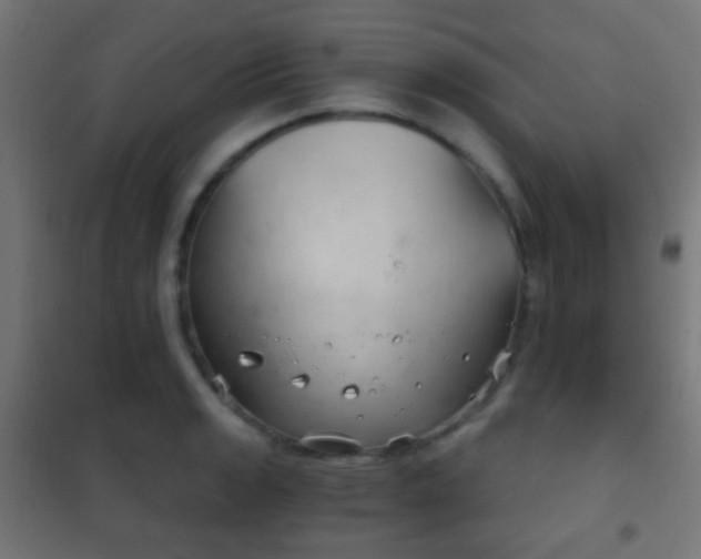 X0000102241133200807250831