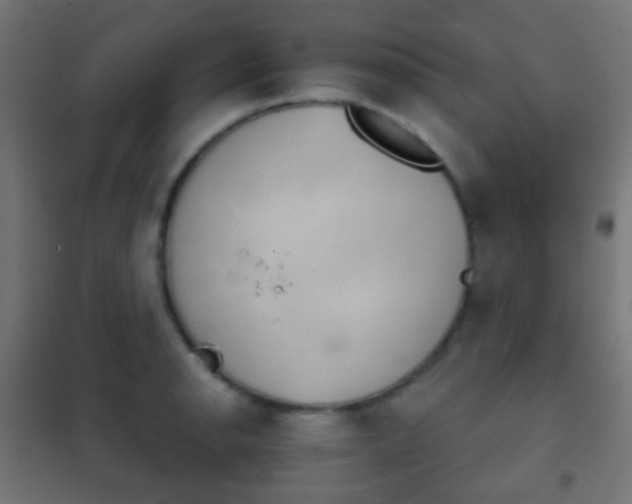 X0000102241134200807250831