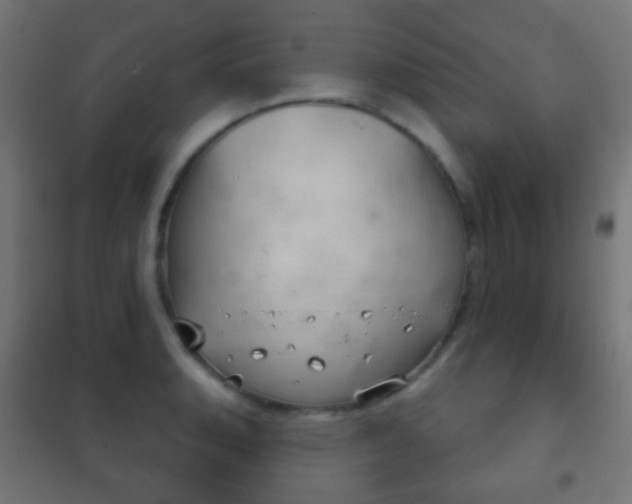 X0000102241135200807250831