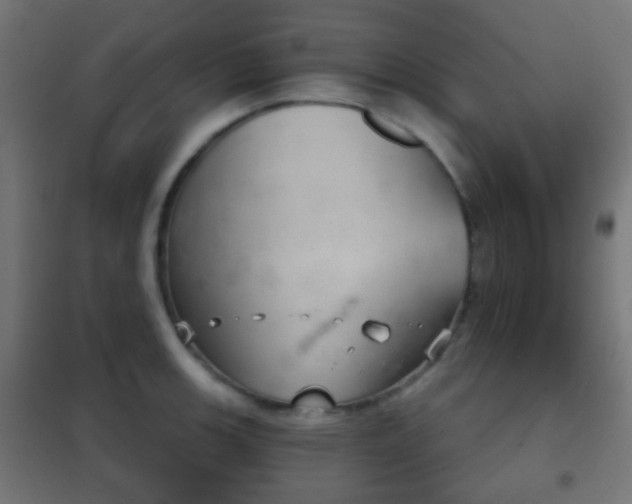 X0000102241139200807250832