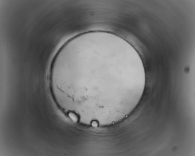 X0000102241140200807250832