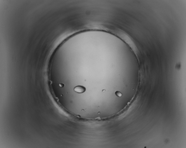 X0000102241141200807250832