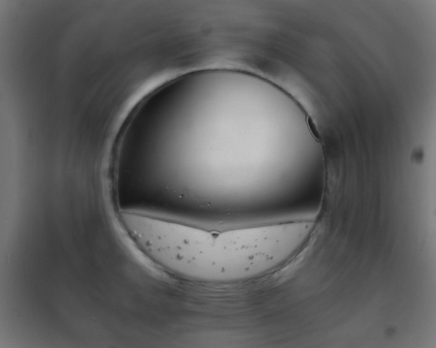 X0000102241142200807250832