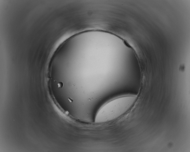 X0000102241143200807250832