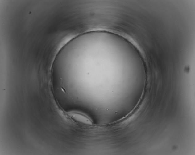 X0000102241145200807250832