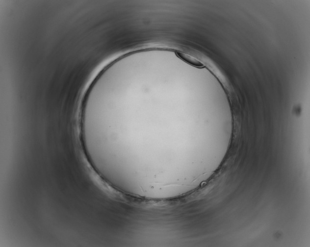 X0000102241148200807250832