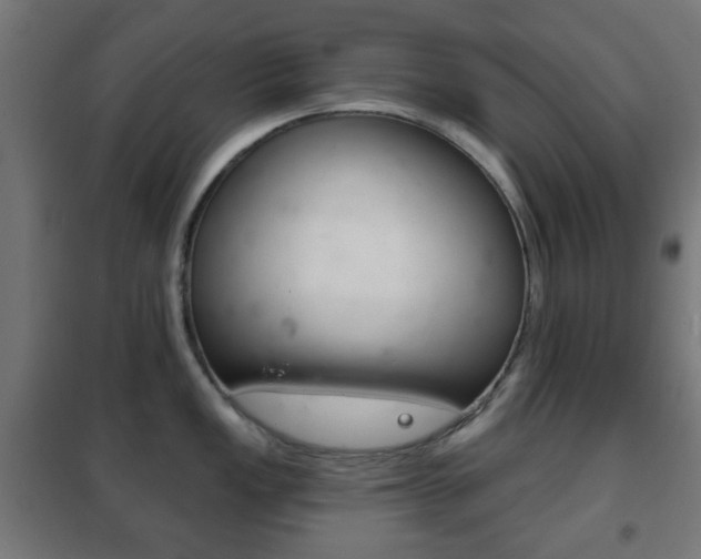 X0000102241149200807250832