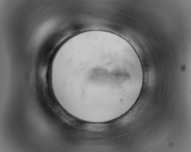 X0000102241150200807250832