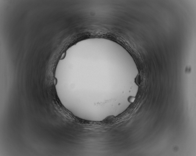 X0000102241153200807250831
