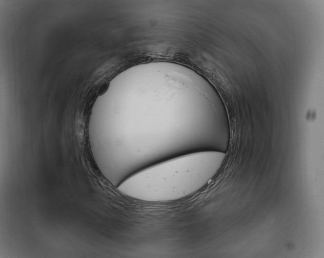 X0000102241154200807250831