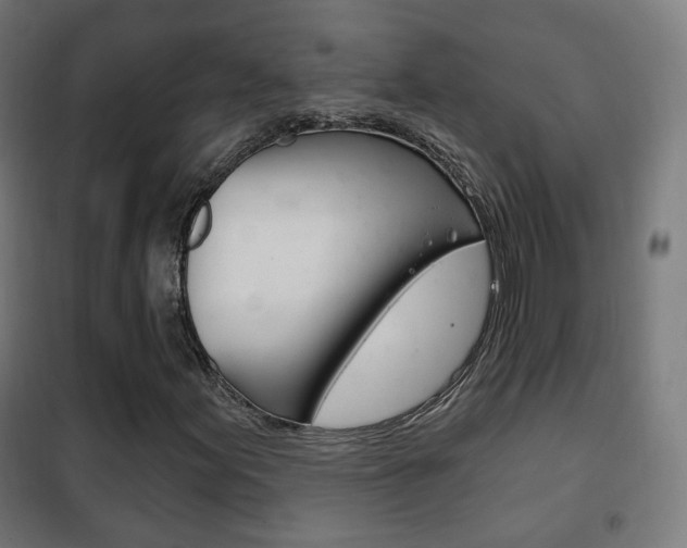 X0000102241155200807250831