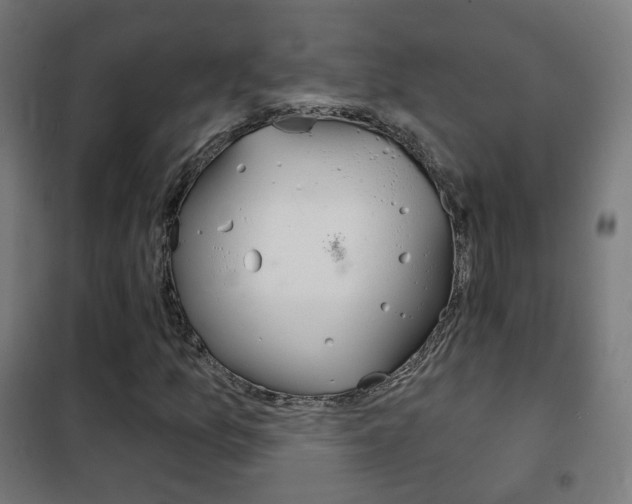 X0000102241157200807250831