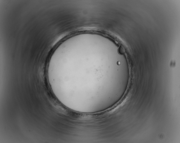 X0000102241162200807250831