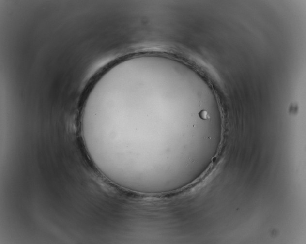 X0000102241166200807250831