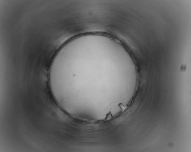 X0000102241169200807250831